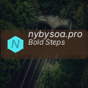 nybysoa.pro